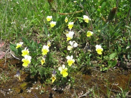 酒店 Vitalhof Der Veitenhof