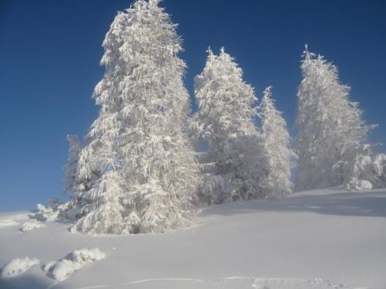 Отель Wallner Zimmer Mit Bergblick