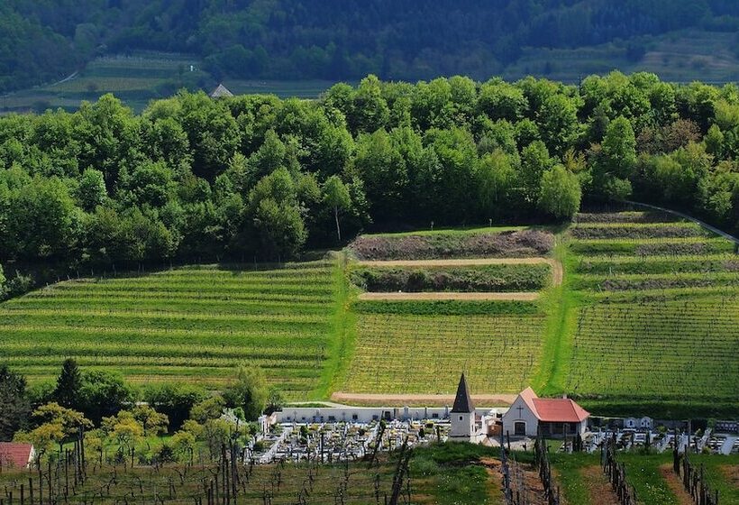 酒店 Weinberghof & Weingut Lagler