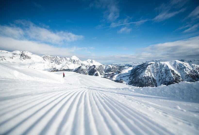 בית מלון כפרי Wenger Alpenhof