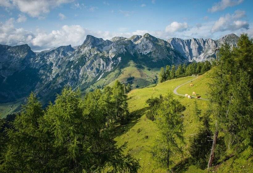 בית מלון כפרי Wenger Alpenhof