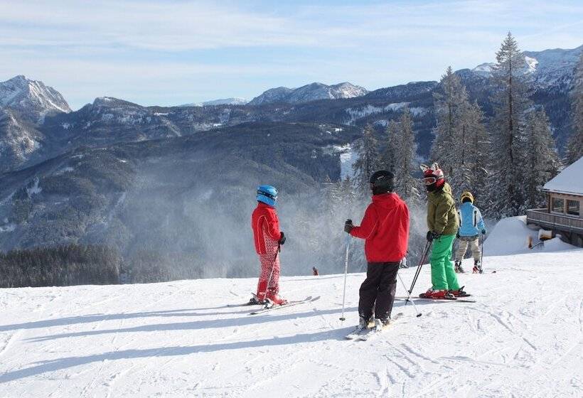 Mühlradl Apartments Gosau