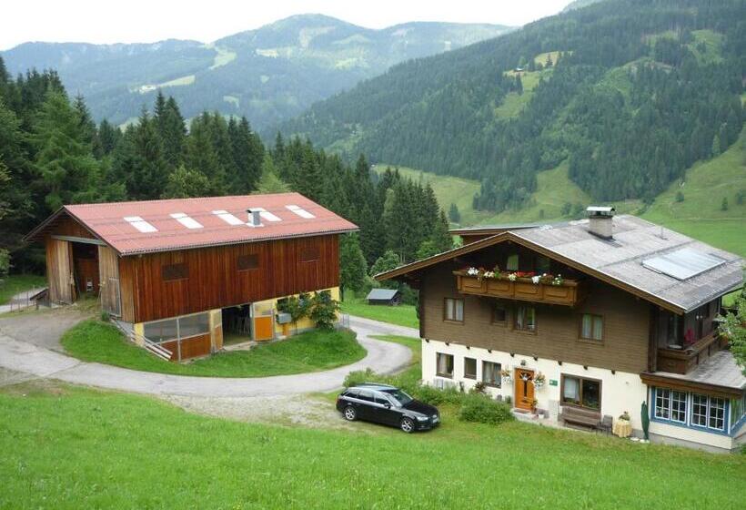 Oberrainbauer