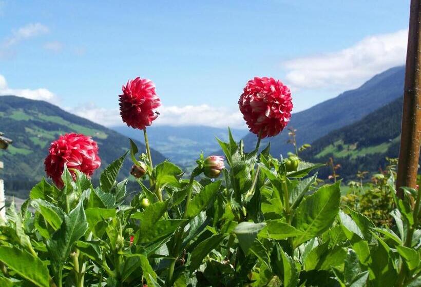 ペンション Bauernhof Oberscheffau
