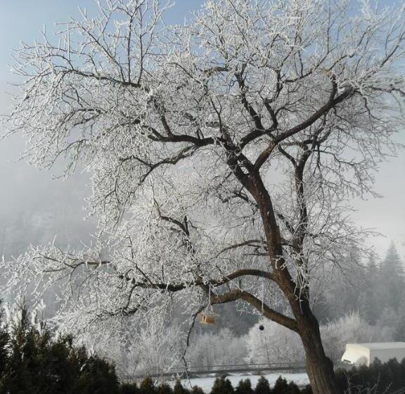 펜션 Gasthof Hotel Klammstein