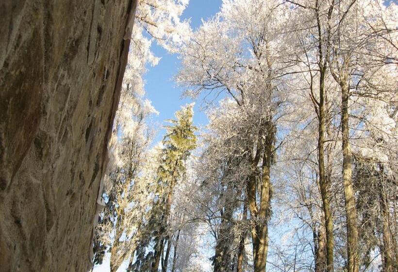 Пансион Landgasthof Spitzerwirt