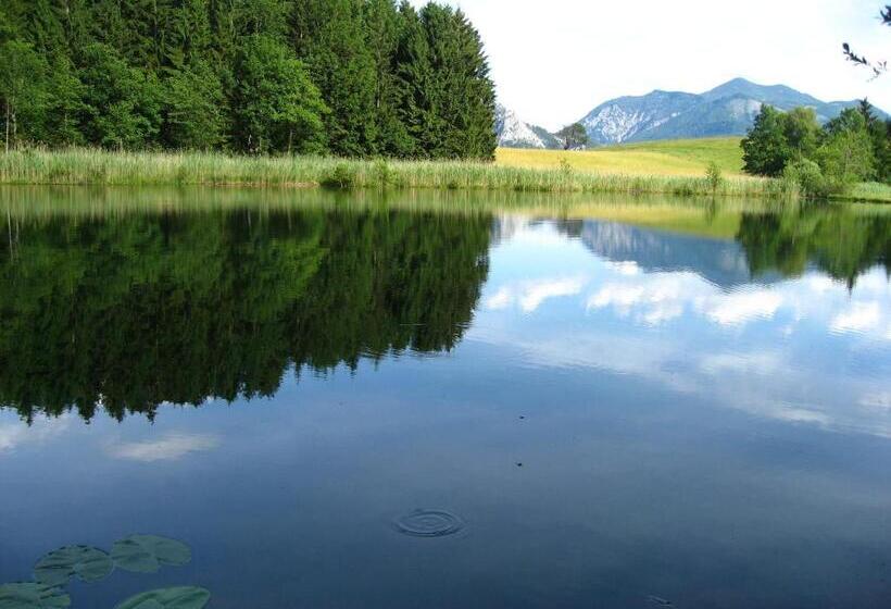 פנסיון Landgasthof Spitzerwirt