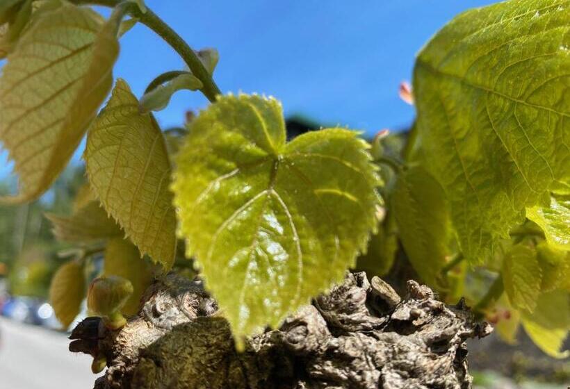 膳宿费 Seegasthof Hois N Wirt   Hotel Mit Wellnessbereich