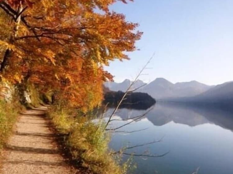 Schillerhof Hotel Garni