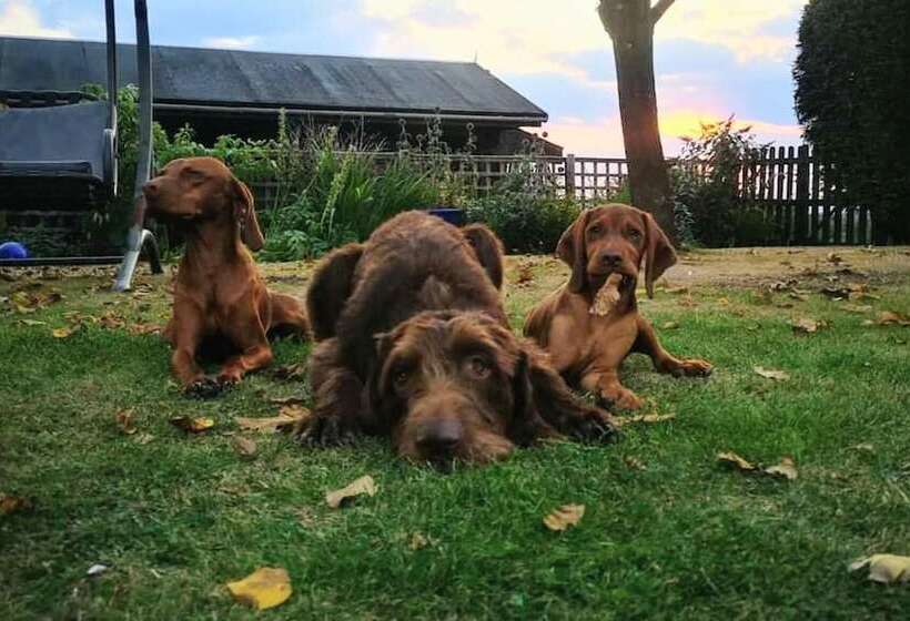 Captivating 1 Bed Log Cabin In Shrewsbury