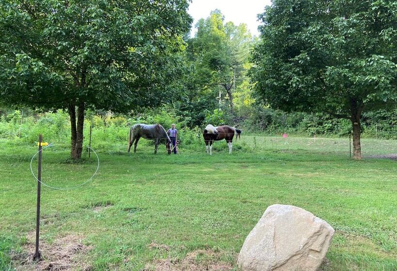 Dragon S Nest Mountain View