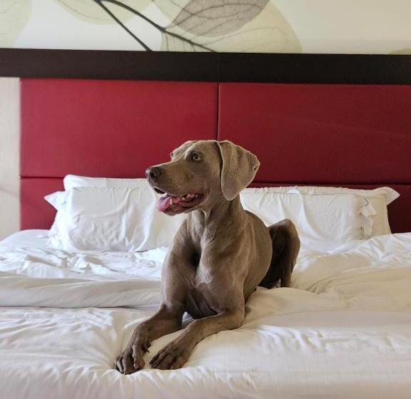 בית מלון כפרי Griso Collection