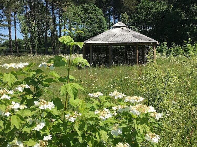 فندق Hollicarrs Long Lane Lodge