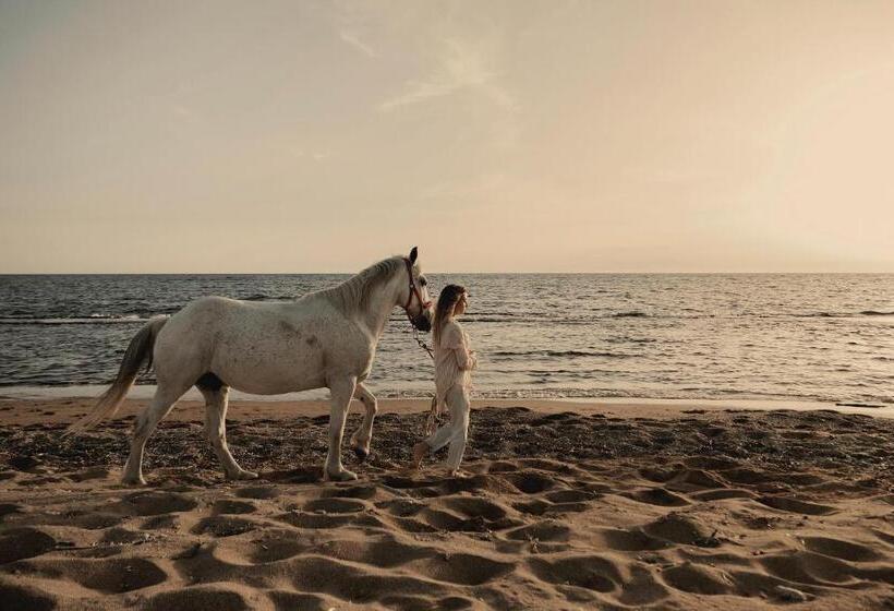 فندق Meraviglia Slow Living