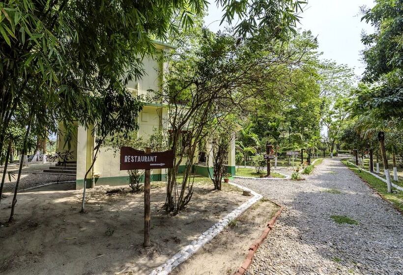 فندق The Riverwood Forest Retreat   Dooars