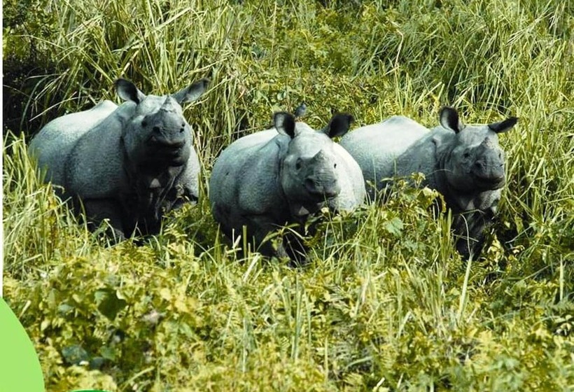 酒店 The Riverwood Forest Retreat   Dooars