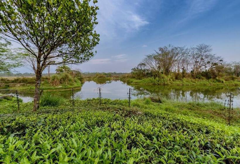 فندق The Riverwood Forest Retreat   Dooars