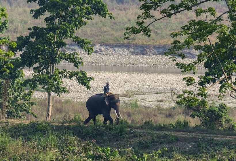 酒店 The Riverwood Forest Retreat   Dooars