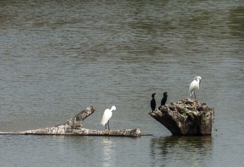 酒店 The Riverwood Forest Retreat   Dooars