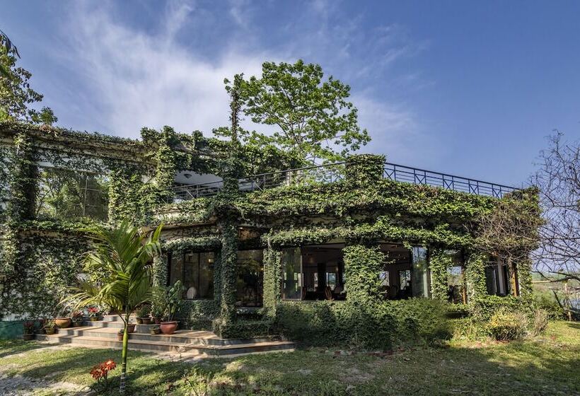 فندق The Riverwood Forest Retreat   Dooars