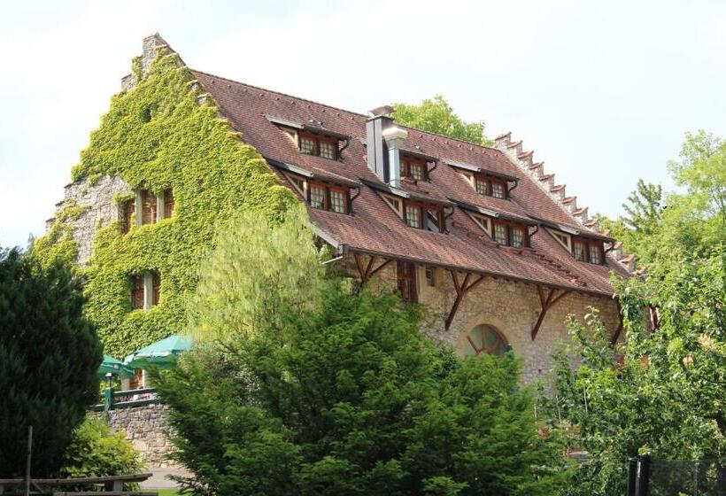 بنسيون Wasserstelz Historisches Genusshotel & Restaurant Am Rhein