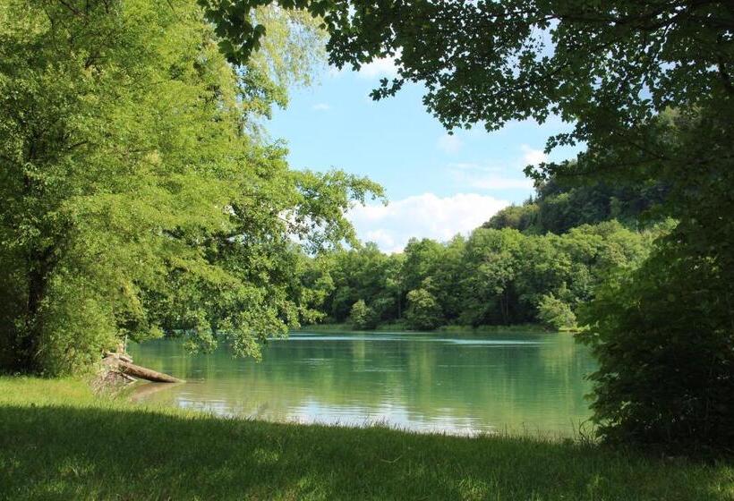 بنسيون Wasserstelz Historisches Genusshotel & Restaurant Am Rhein