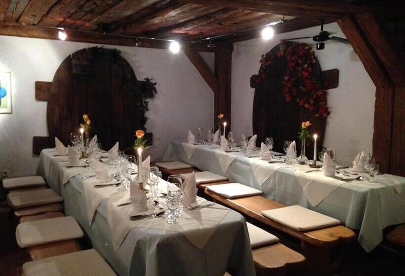 بنسيون Wasserstelz Historisches Genusshotel & Restaurant Am Rhein