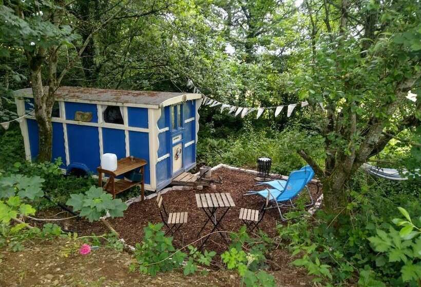 Pilgrims Shepherd S Hut   Goosewell Glynn Glamping