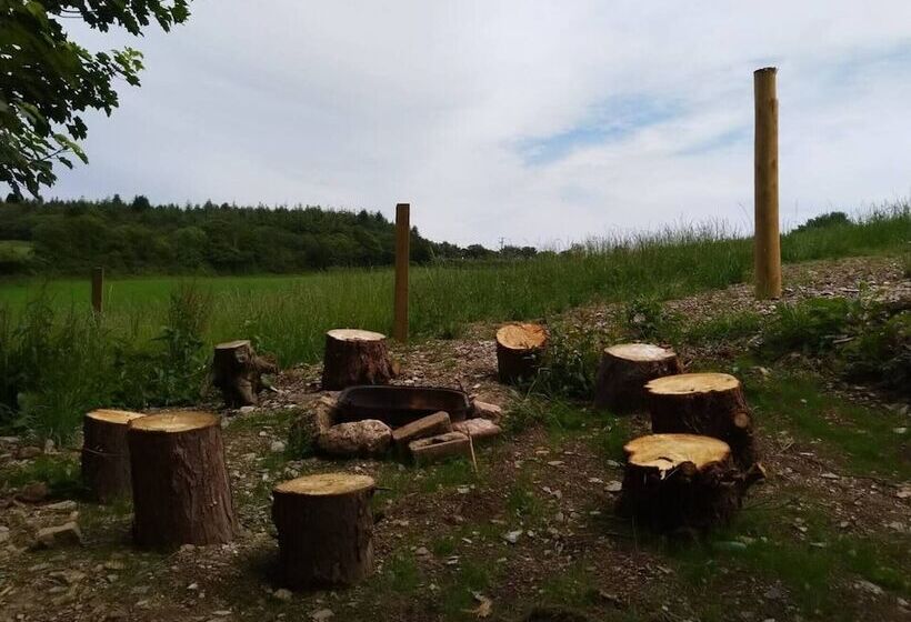 Pilgrims Shepherd S Hut   Goosewell Glynn Glamping