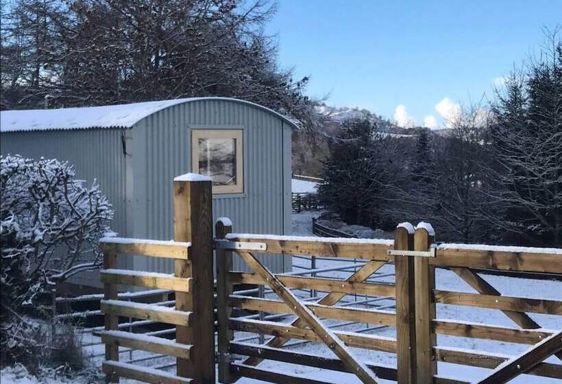 The Shepherds Hut At Hafoty Boeth