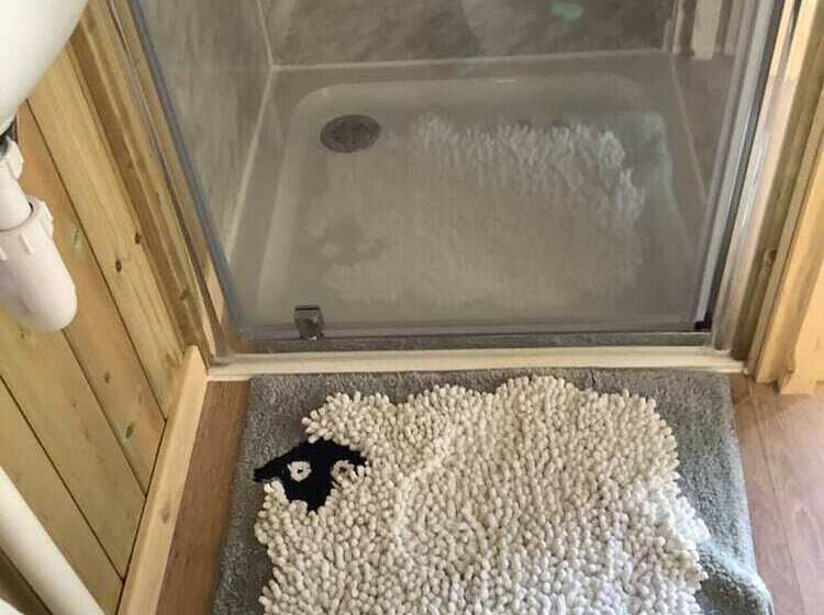 The Shepherds Hut At Hafoty Boeth