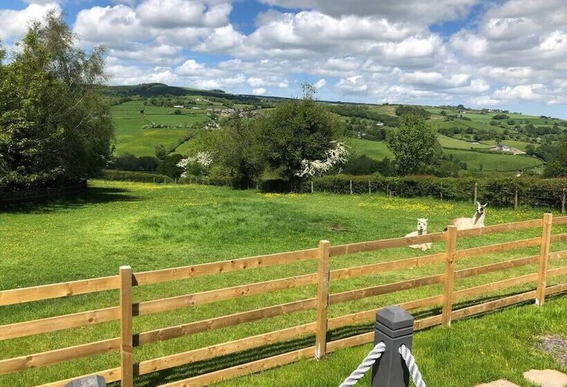 The Shepherds Hut At Hafoty Boeth