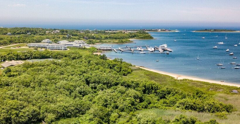 בית מלון כפרי Champlin S Marina & Resort