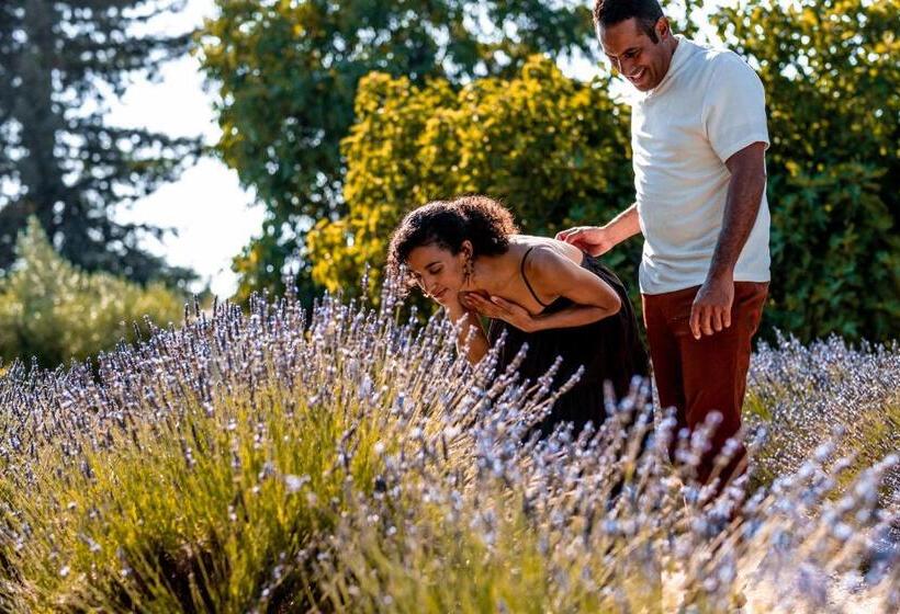 ホテル Stanly Ranch, Auberge Resorts Collection