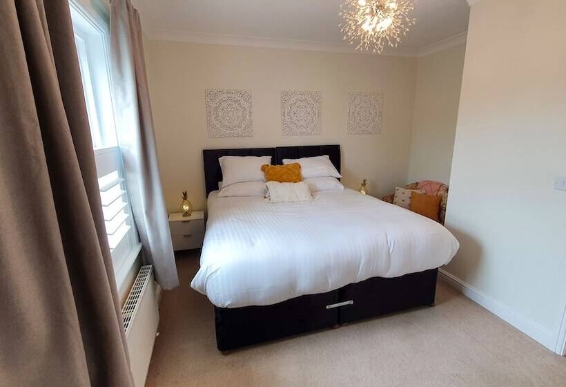 Отель The Adam & Eve