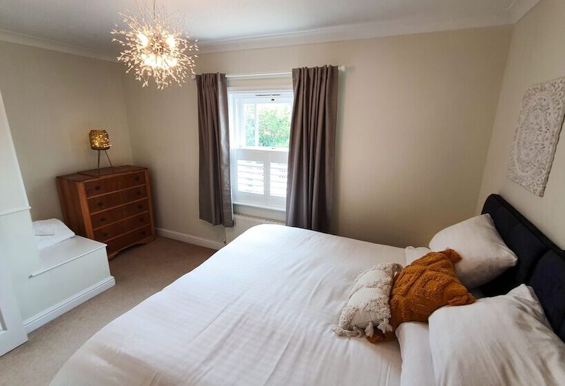 Отель The Adam & Eve