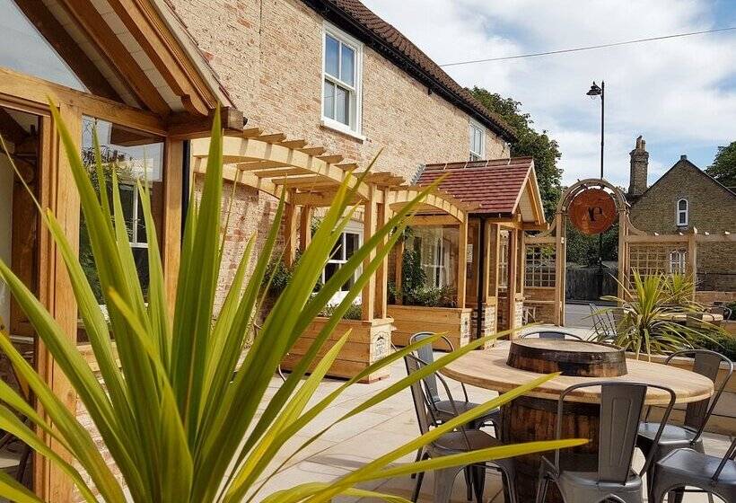 Отель The Adam & Eve