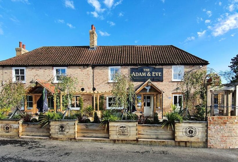 Отель The Adam & Eve