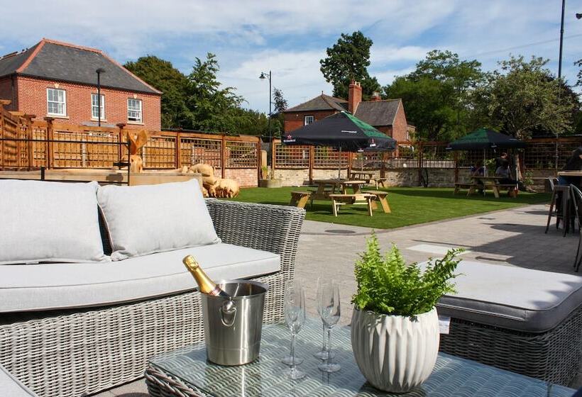 Отель The Adam & Eve