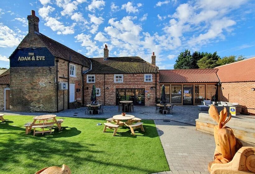Отель The Adam & Eve