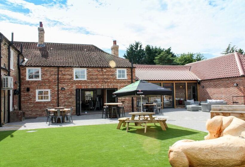 Отель The Adam & Eve