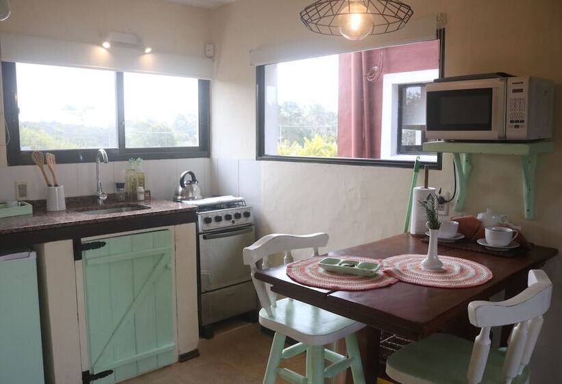 Los Pecados De La Viuda