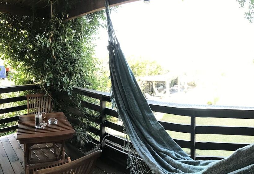 Los Pecados De La Viuda