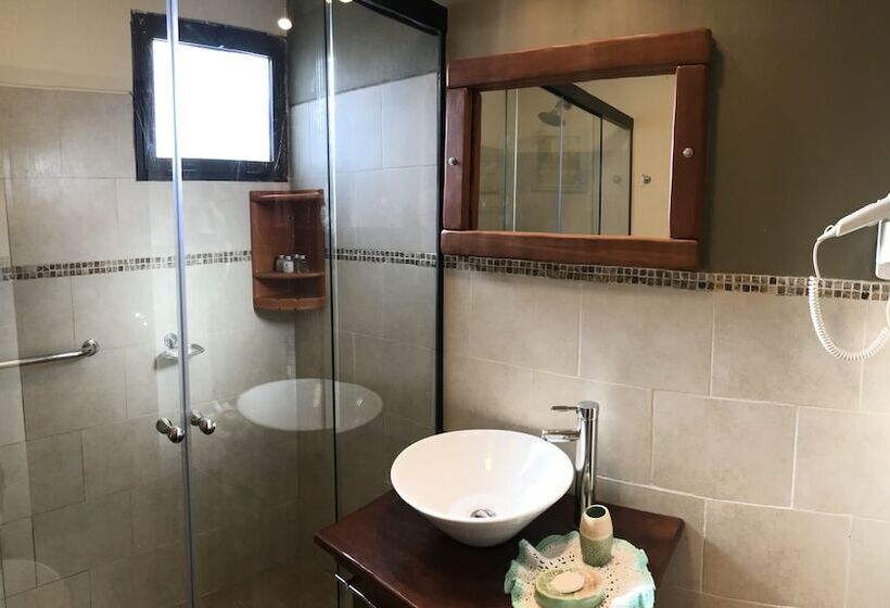 Los Pecados De La Viuda