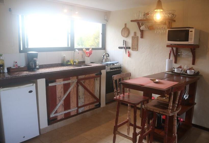 Los Pecados De La Viuda