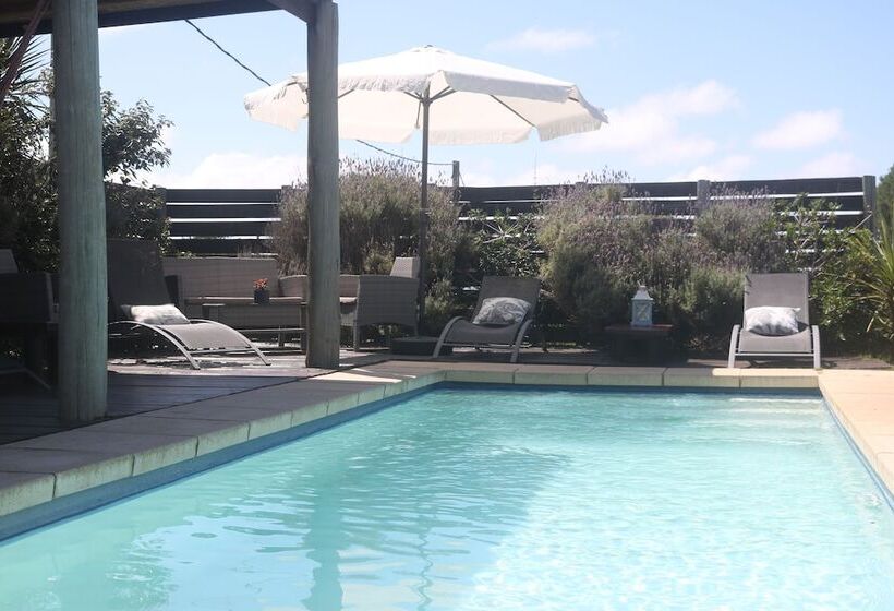 Los Pecados De La Viuda