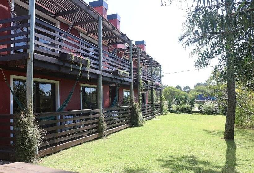 Los Pecados De La Viuda