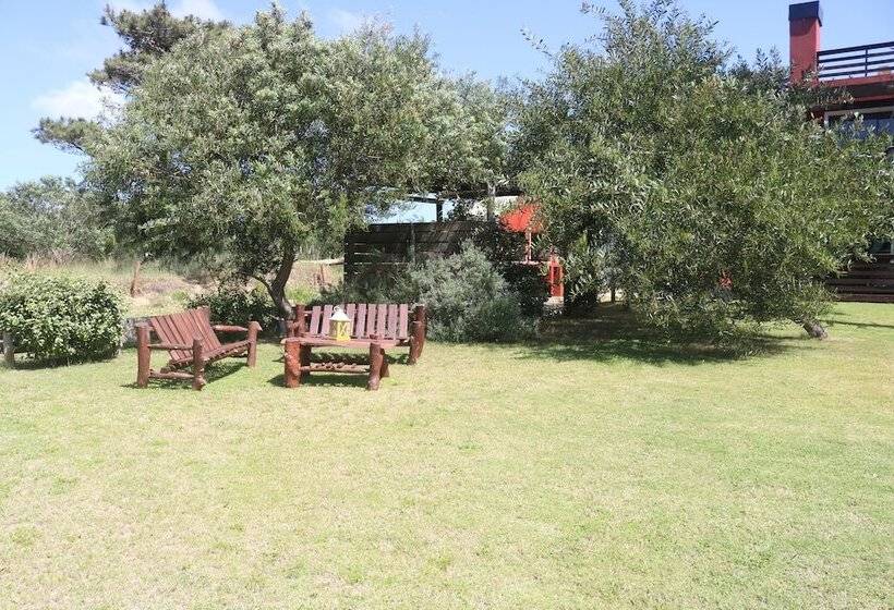 Los Pecados De La Viuda