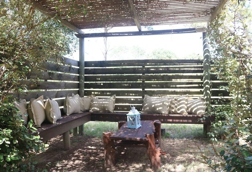 Los Pecados De La Viuda