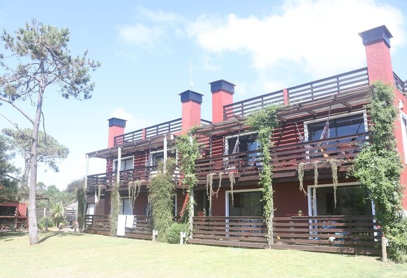 Los Pecados De La Viuda